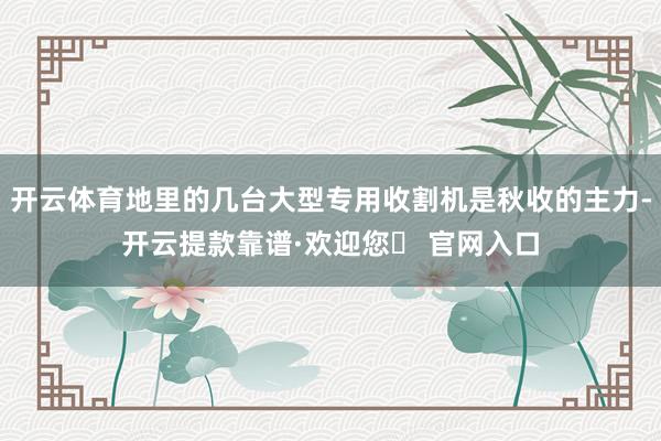 开云体育地里的几台大型专用收割机是秋收的主力-开云提款靠谱·欢迎您✅ 官网入口