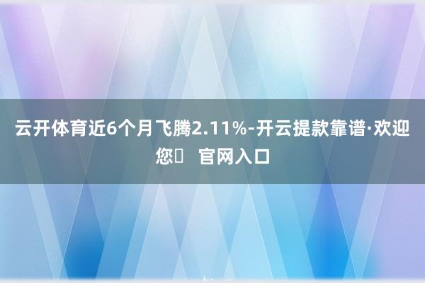 云开体育近6个月飞腾2.11%-开云提款靠谱·欢迎您✅ 官网入口