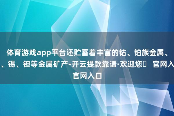 体育游戏app平台还贮蓄着丰富的钴、铂族金属、钨、锡、钽等金属矿产-开云提款靠谱·欢迎您✅ 官网入口