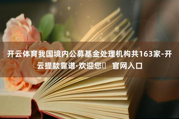 开云体育我国境内公募基金处理机构共163家-开云提款靠谱·欢迎您✅ 官网入口