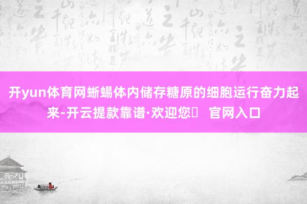 开yun体育网蜥蜴体内储存糖原的细胞运行奋力起来-开云提款靠谱·欢迎您✅ 官网入口